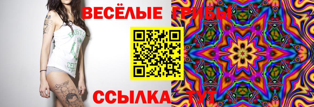 Галлюциногенные грибы мухоморы  Вход с VPN  Павловский Посад  Псилоцибиновые грибы мицелий 