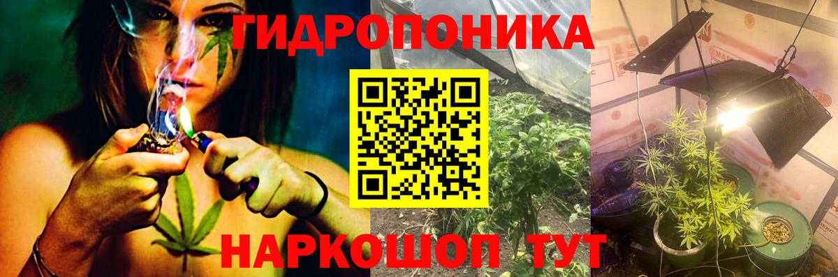 МАРИХУАНА сатива Павловский Посад